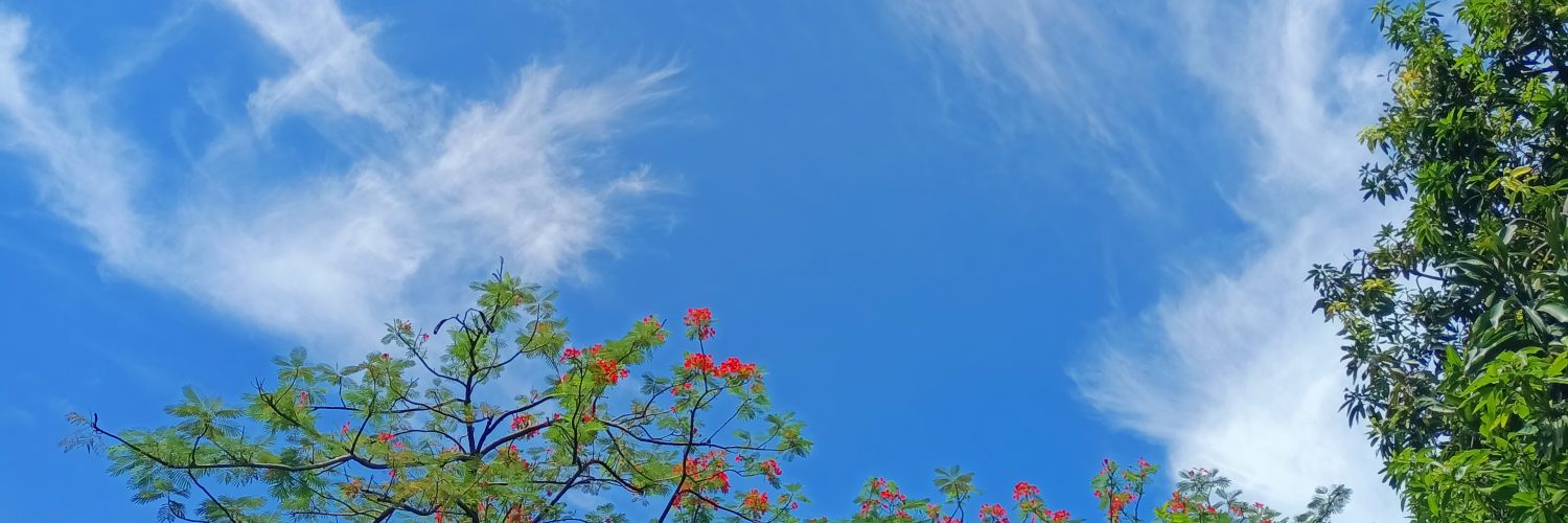 dsyacaca's profile banner image