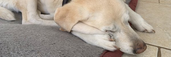 jcIoTnow Profile Banner