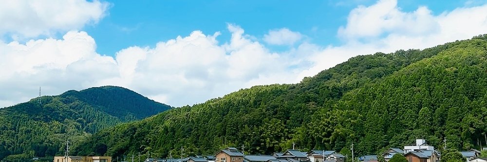 WebMegumi's profile banner image