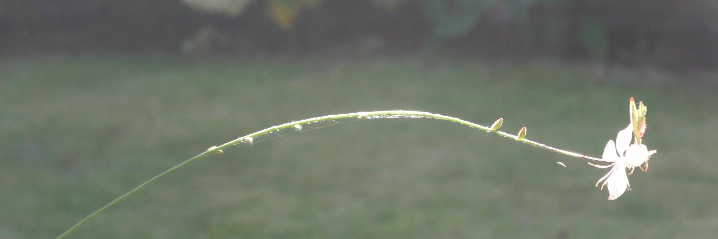 MHarijk's profile banner image