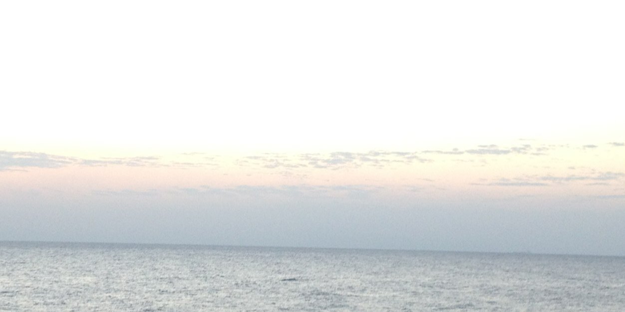Cristina Serradell banner