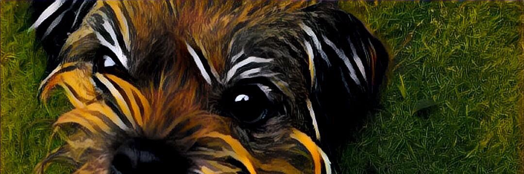 LBWAN's profile banner image