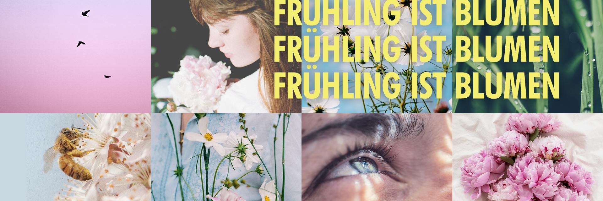 wasblumenmachen's profile banner image