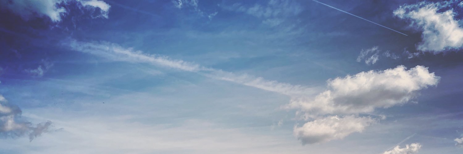 Olaf Warhola banner