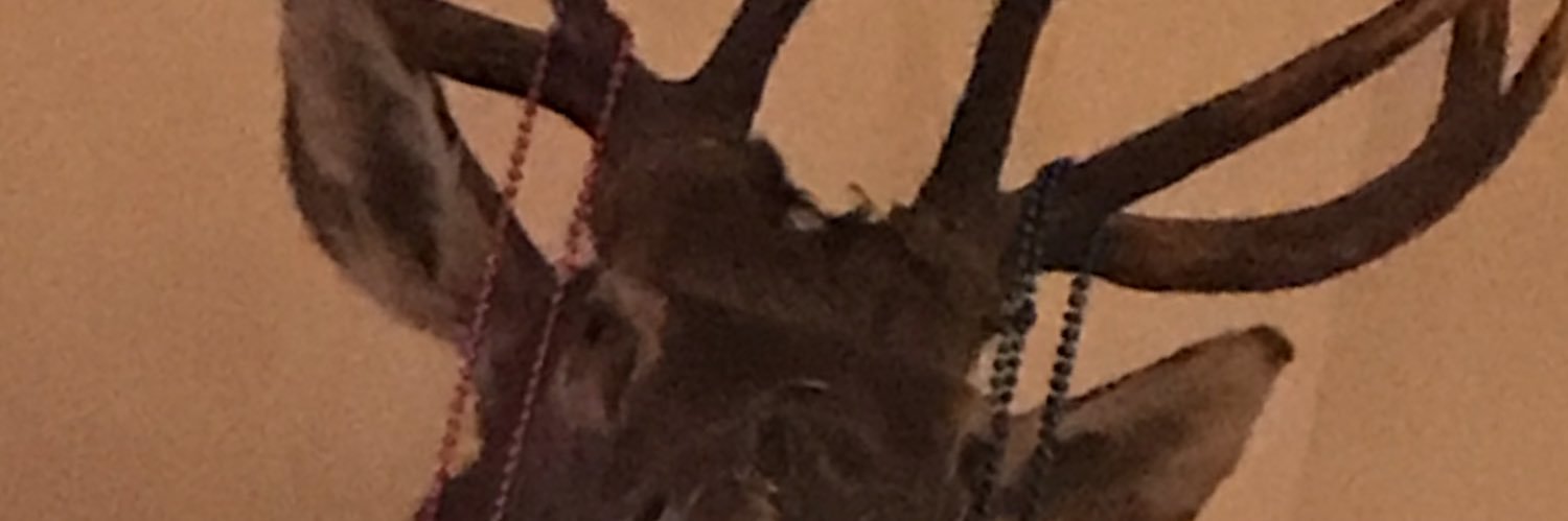all_cap_mike's profile banner image