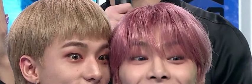비. banner