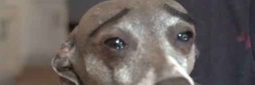 NoonaSn's profile banner image