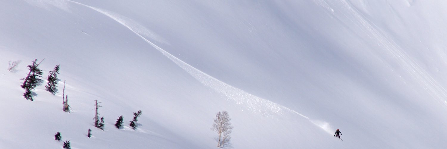slowflowsnow's profile banner image