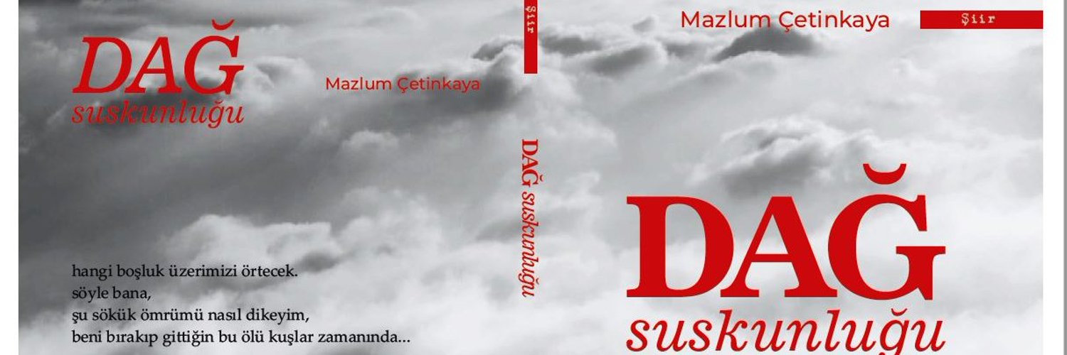 Mazlum ÇETİNKAYA Profile Banner