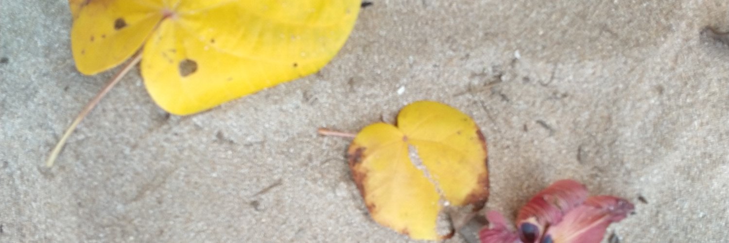 emanueladikaa's profile banner image
