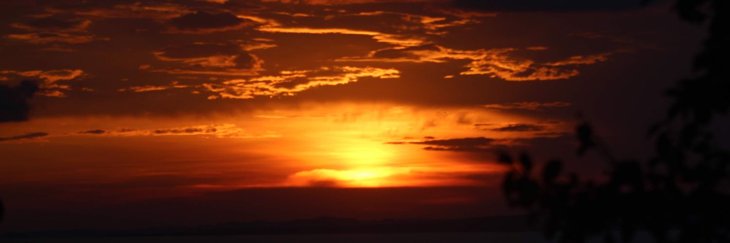 O_Aapm's profile banner image