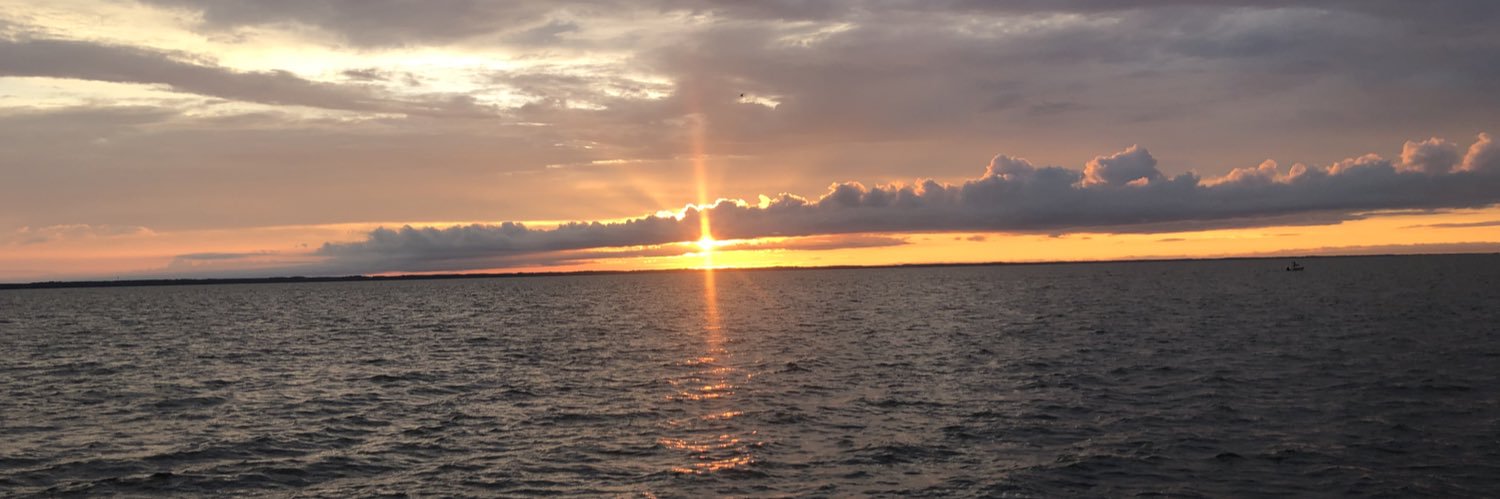 caraif's profile banner image
