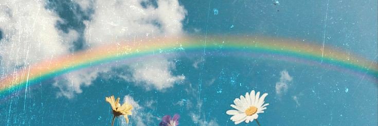 ciicay2's profile banner image