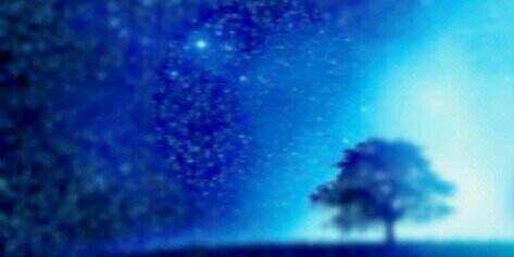 f__________nr's profile banner image