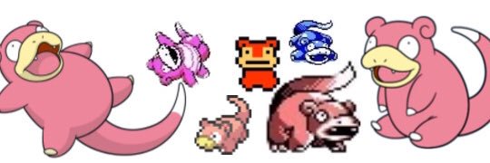 scataicho's profile banner image
