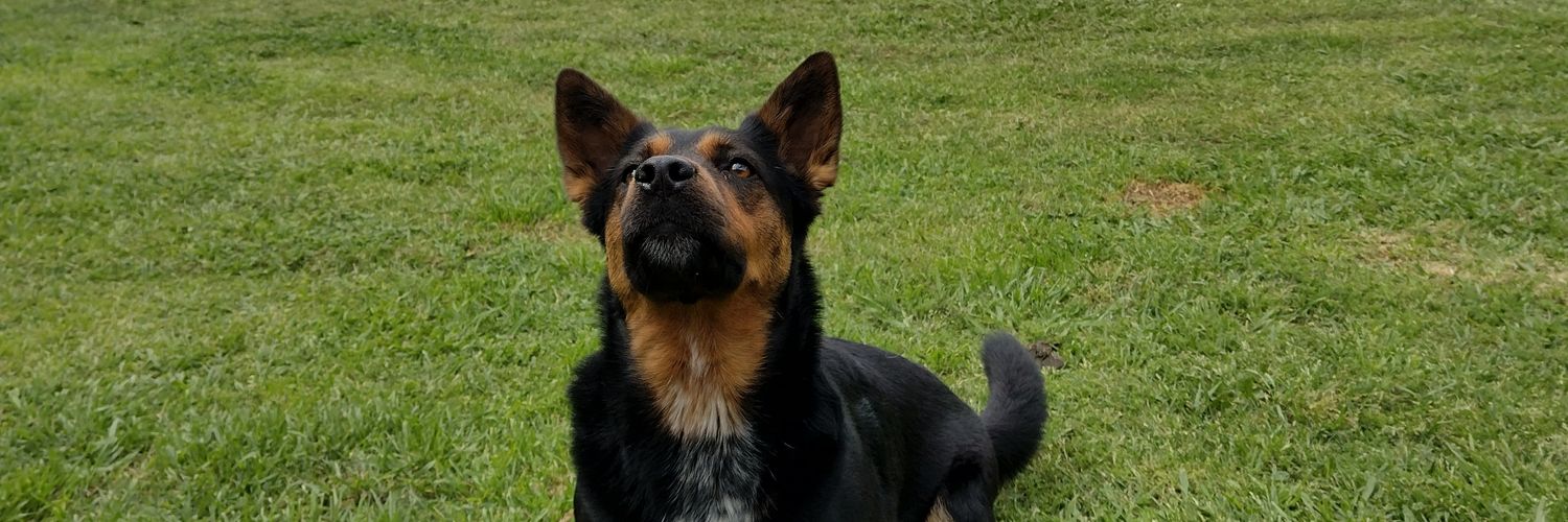 AgussTagliabue's profile banner image