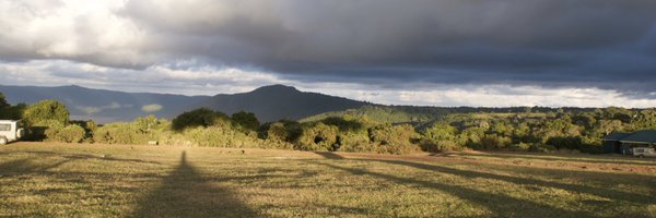 melegaro Profile Banner