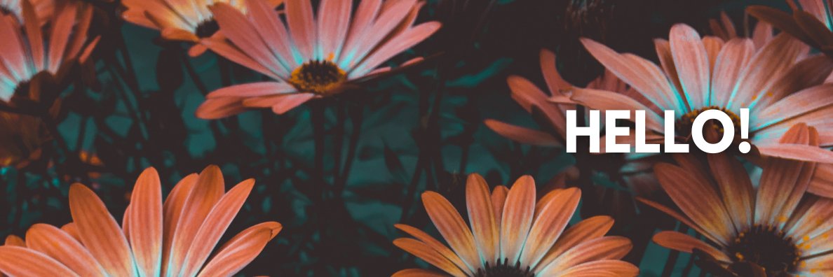 Cleo Schoonebeek banner