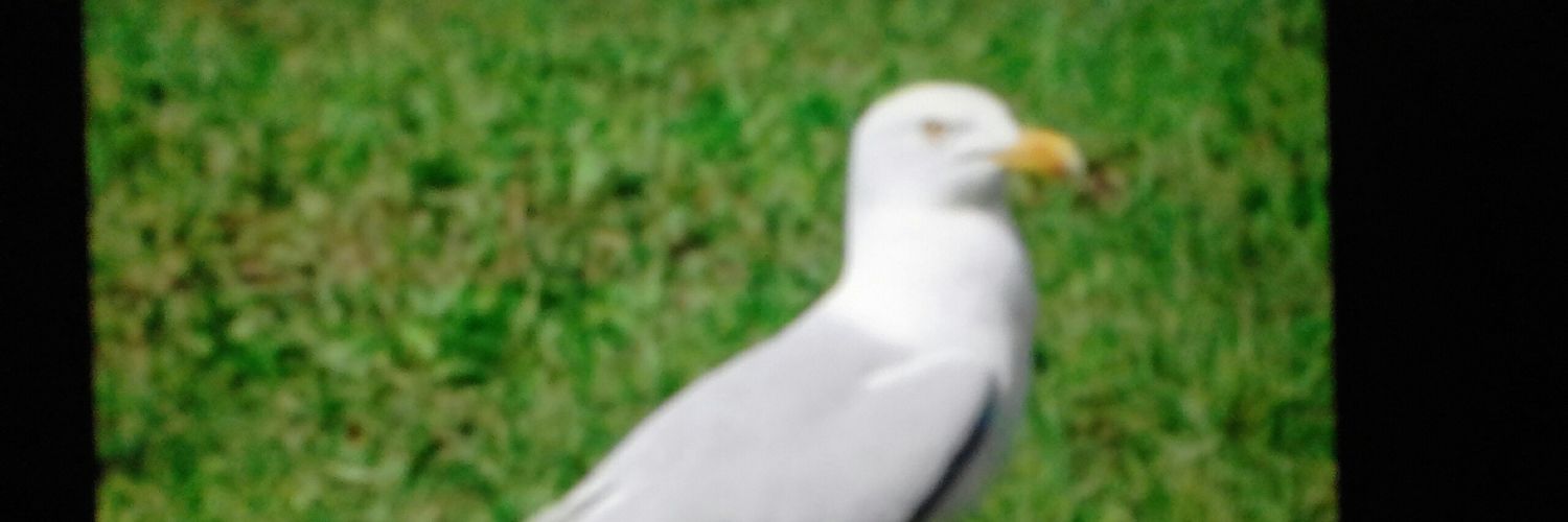 MARJIESASSY's profile banner image