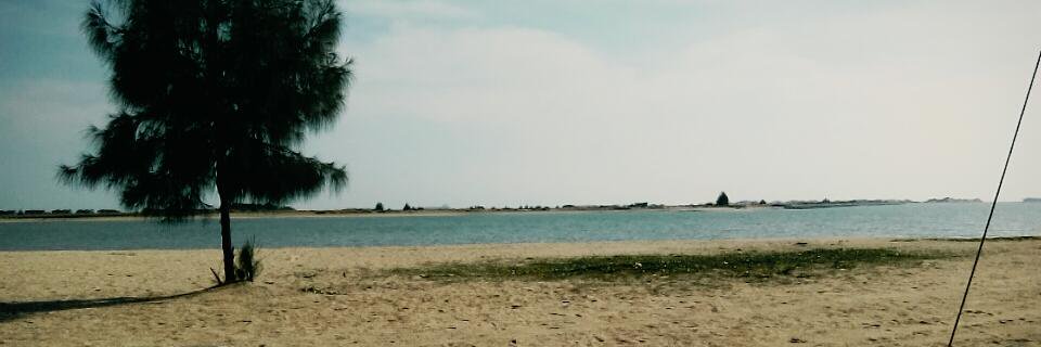 Qisti93's profile banner image