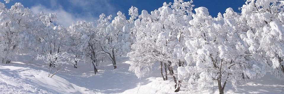 yukky211's profile banner image