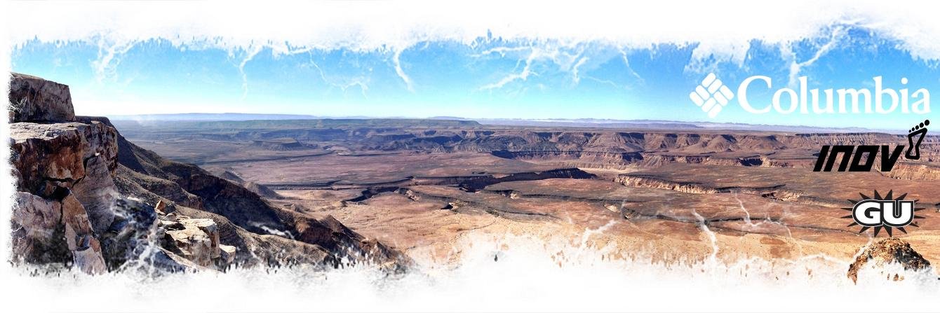 Cornel de Jongh banner