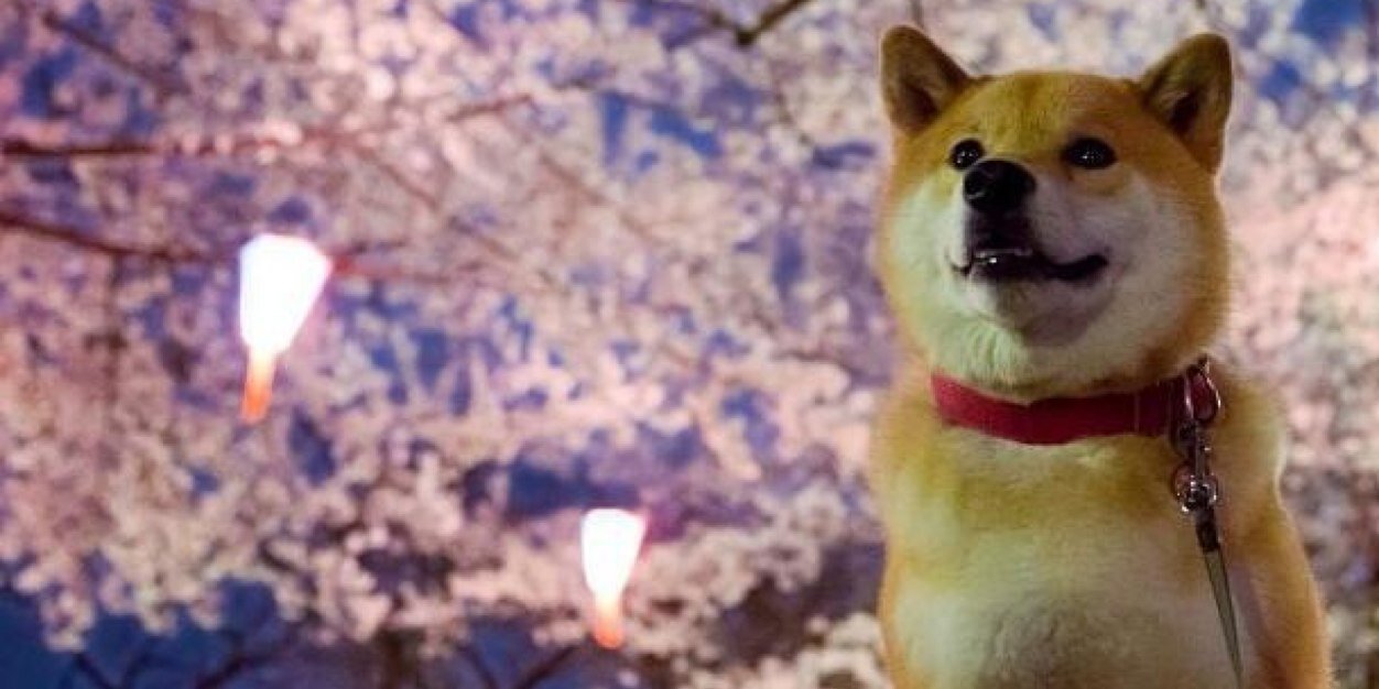kaaaaana3's profile banner image