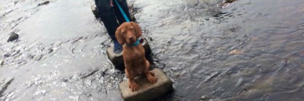 cherylelouise Profile Banner