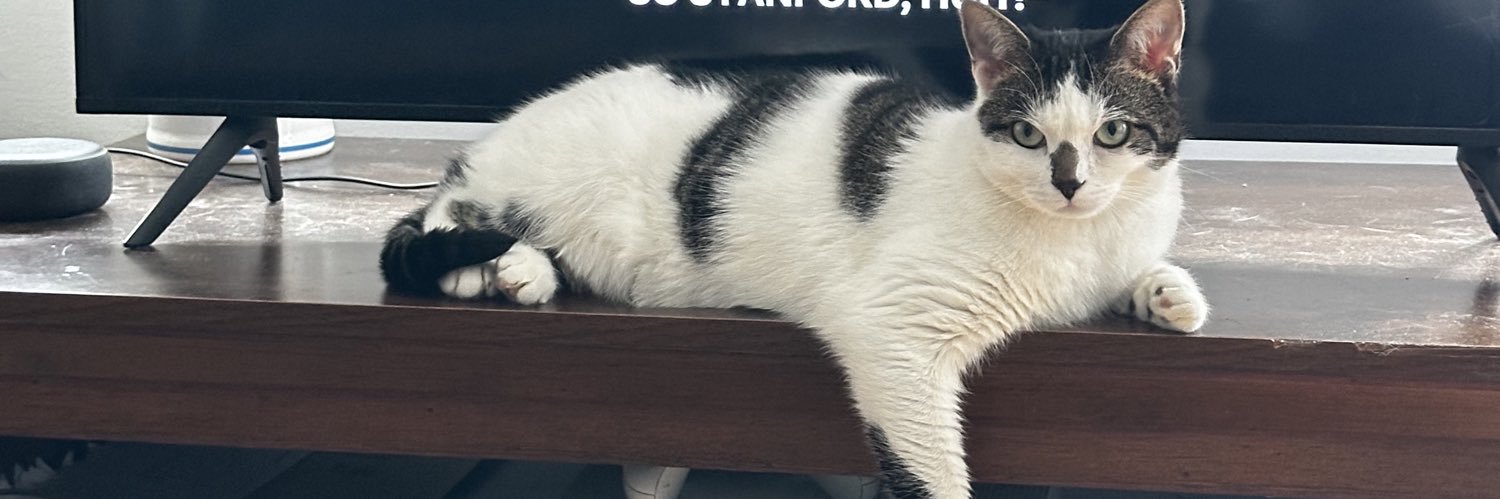 olivia_bsmith's profile banner image