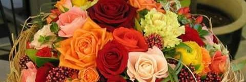 Maribel18M's profile banner image