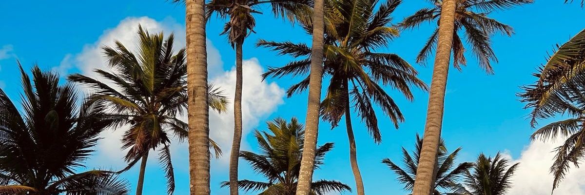 Camicoullery's profile banner image