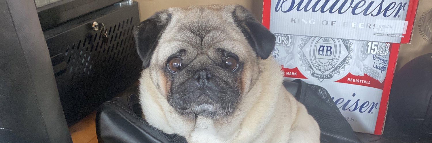 charleybailey_'s profile banner image