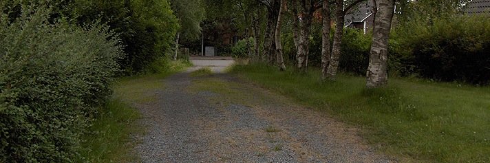 annefrick's profile banner image