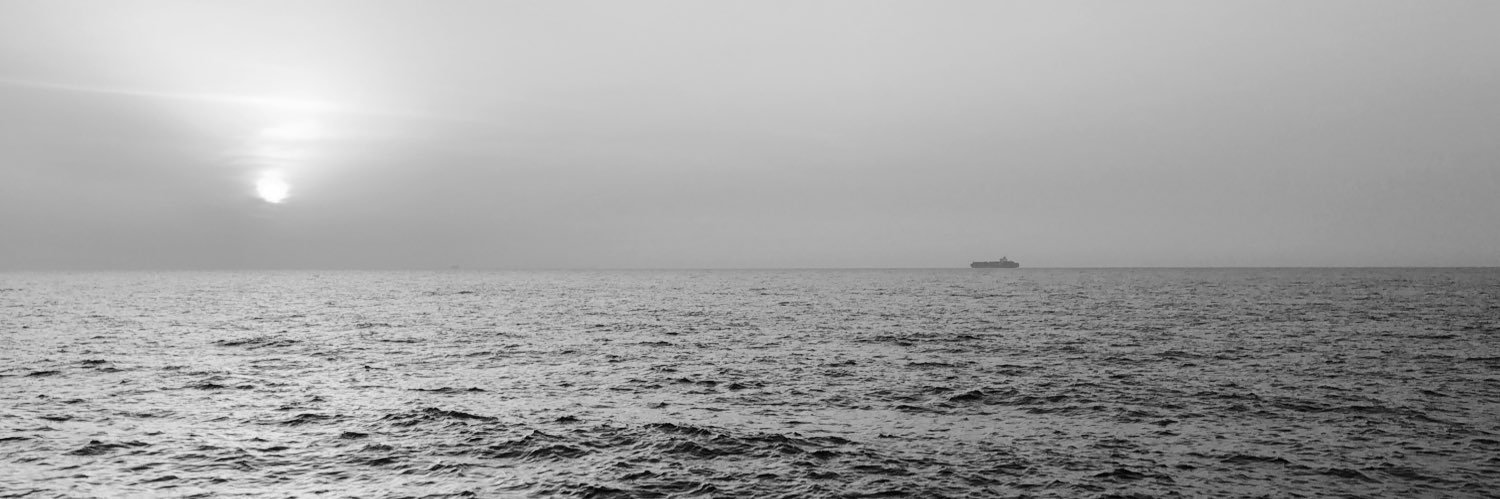 basselaridi's profile banner image