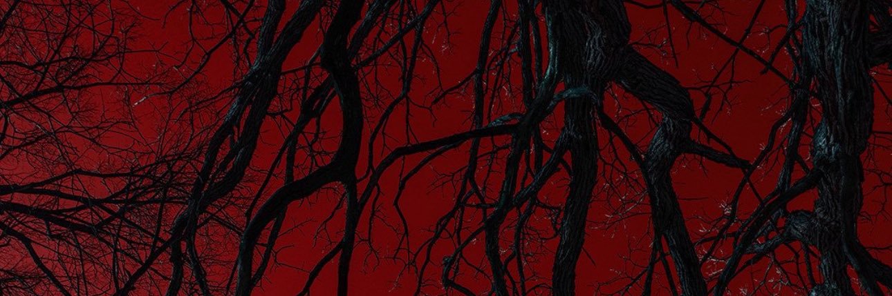 DUNNYDASH's profile banner image