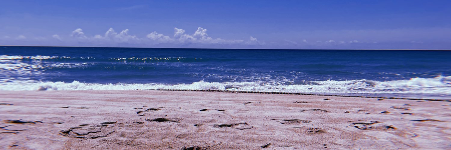 14_lexi_14's profile banner image
