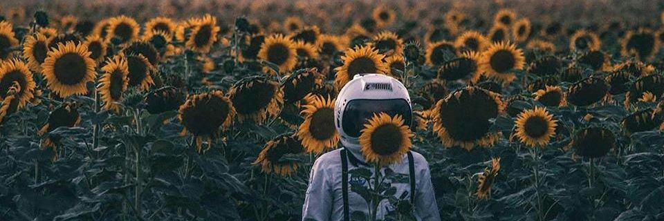 Aaron_Lev1's profile banner image