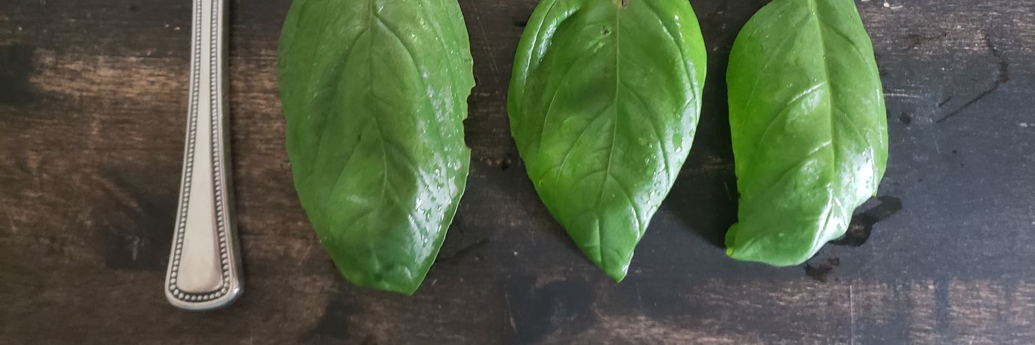 chefroberta's profile banner image