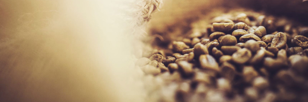 mikocoffee's profile banner image