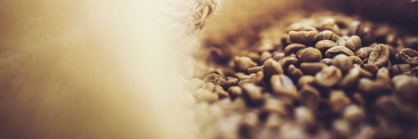 mikocoffee Profile Banner