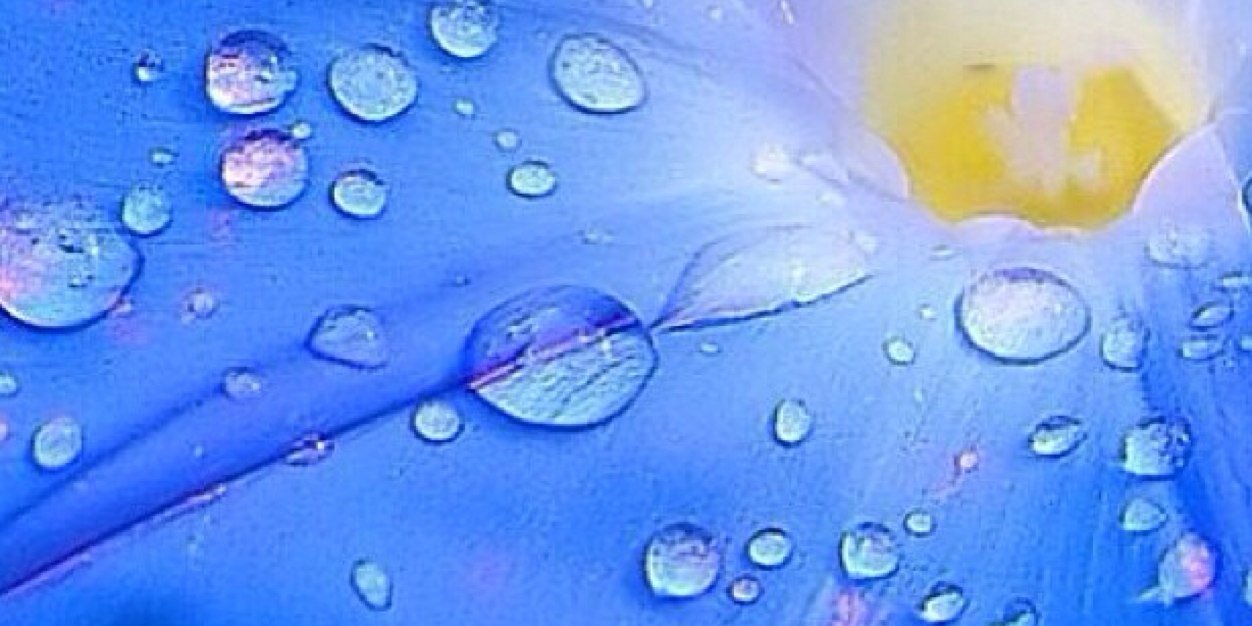 Falhasd's profile banner image