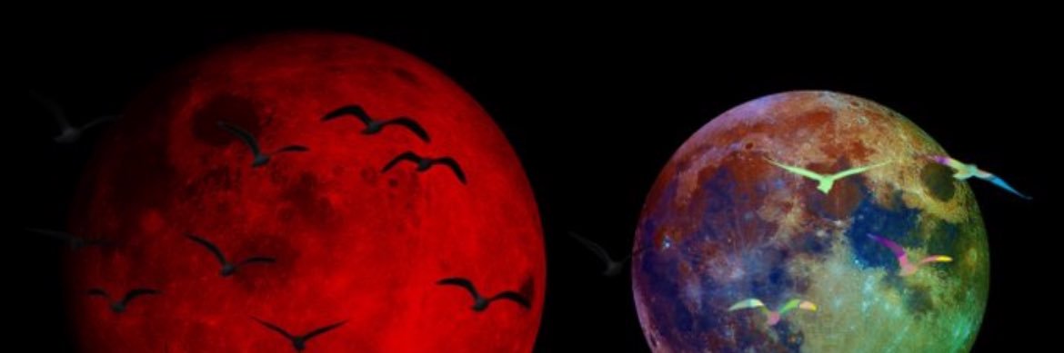 POK_23's profile banner image