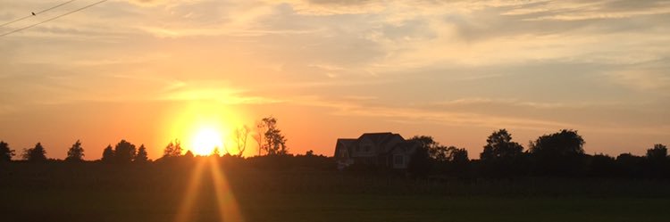 s_buckman's profile banner image