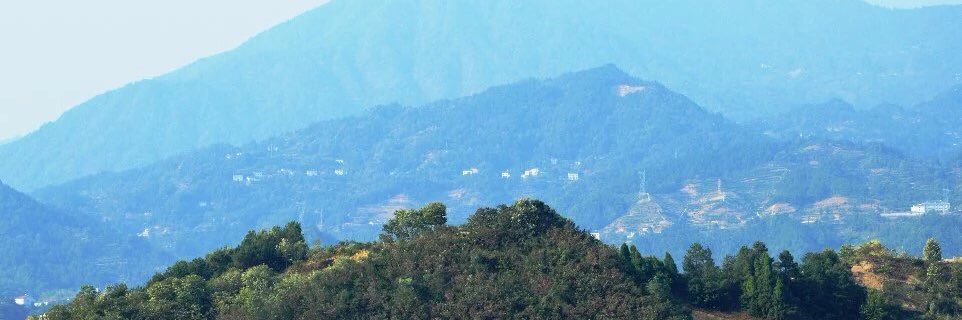 LTF0's profile banner image
