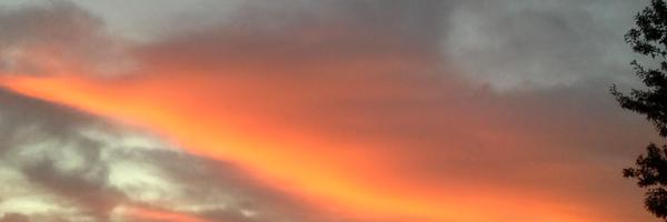 lkiron17 Profile Banner