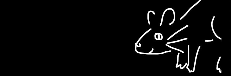 gingermelontea's profile banner image