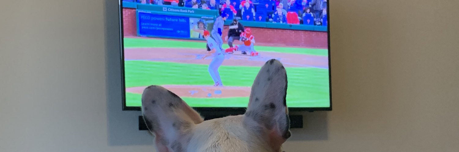 FloridaMetsGuy's profile banner image