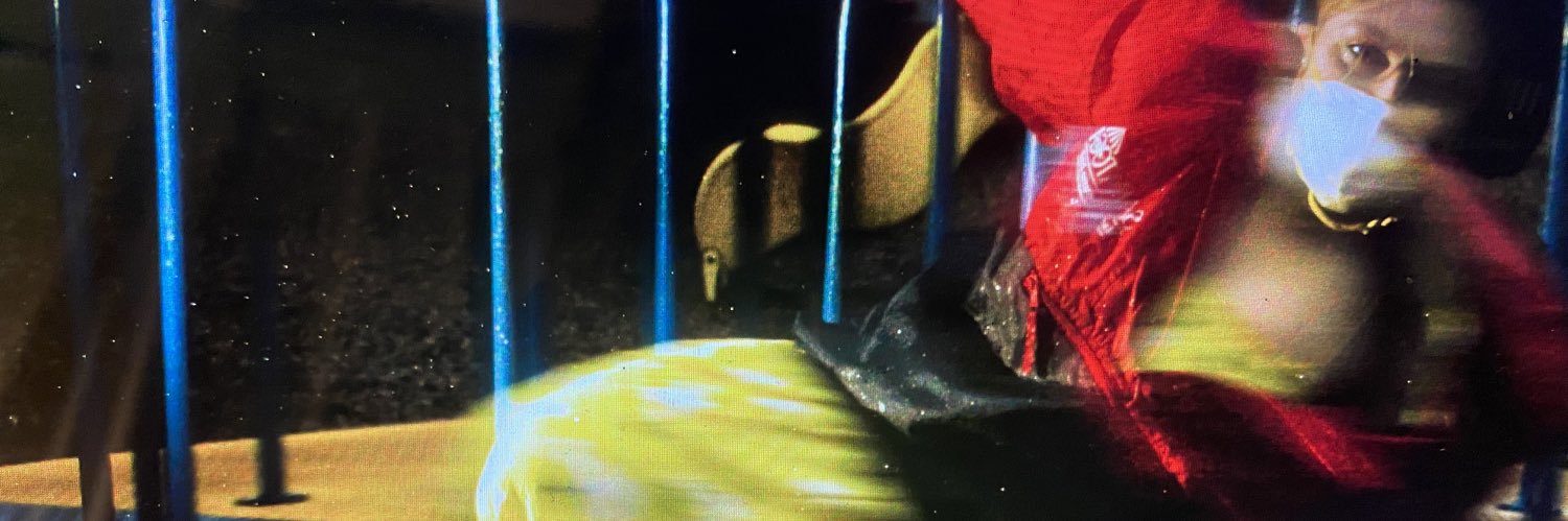 CamillePenman's profile banner image