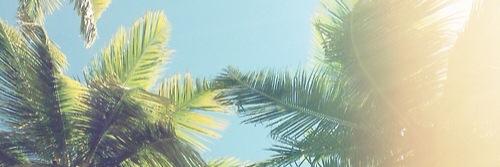 Prinecesiite's profile banner image