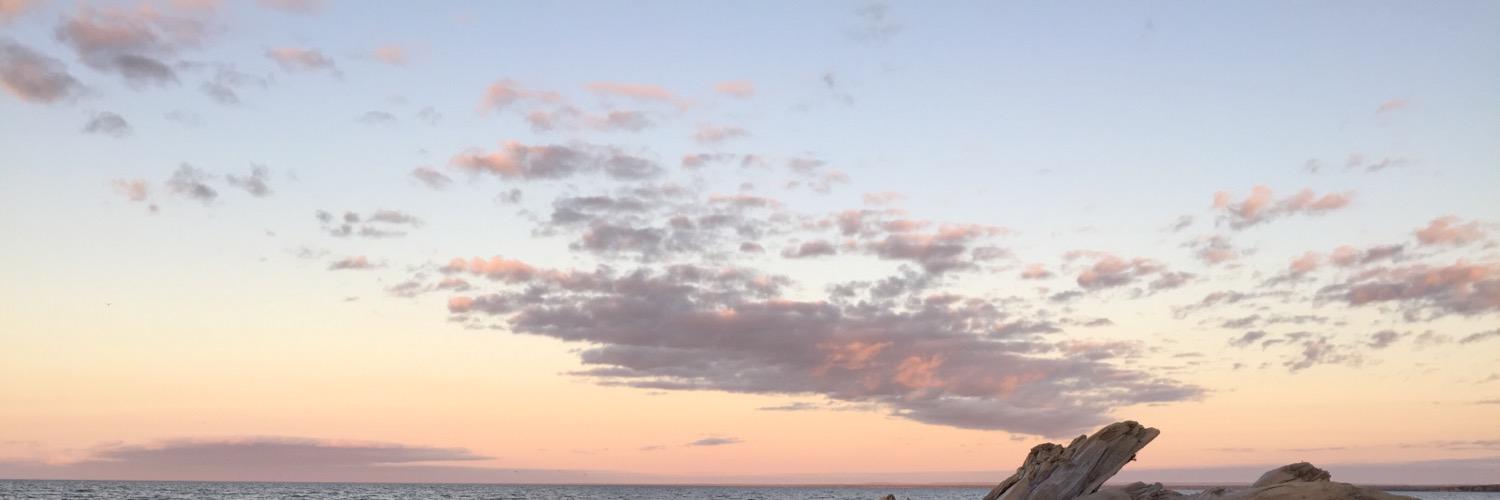 SSonnega's profile banner image